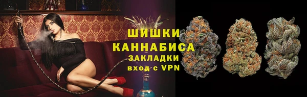 гашик Кодинск