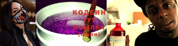 прущие грибы Козловка