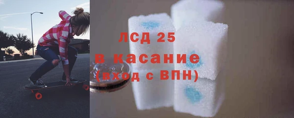 прущие грибы Козловка
