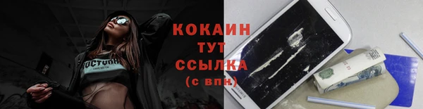 гашик Кодинск