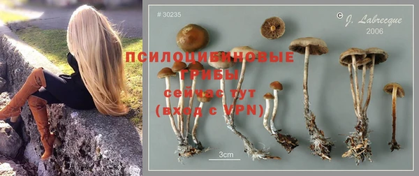 гашик Кодинск
