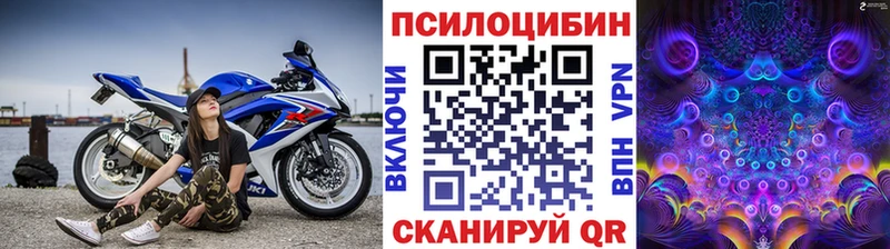 Псилоцибиновые грибы Psilocybe  Называевск 